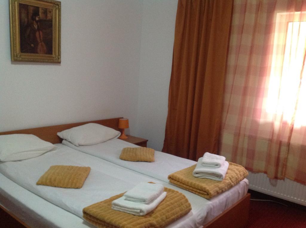 Hotel Panoramic Moneasa Pokój zdjęcie